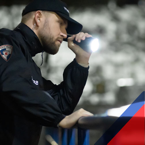 Φυσική Φύλαξη